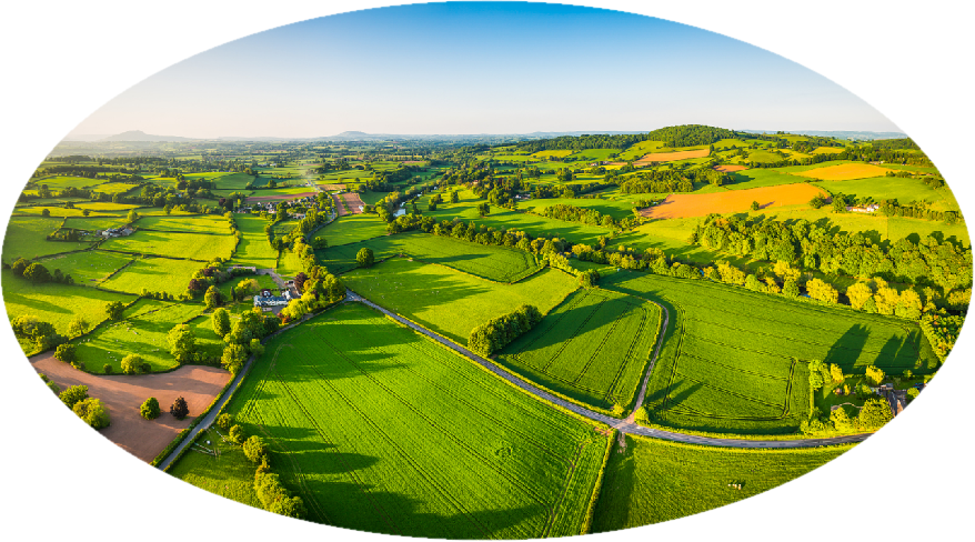 圖片7.png 圖片7.png